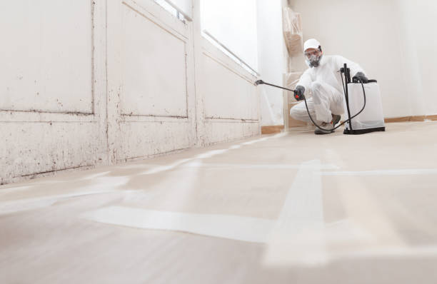 24/7 Emergency Attic Mold Remediation experts in Milton, PA